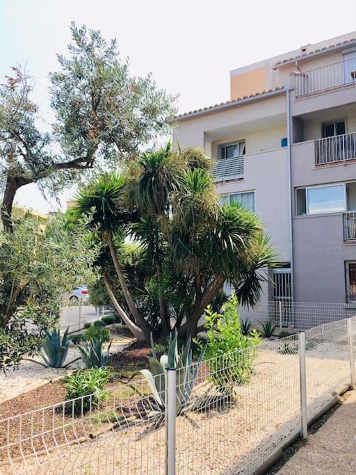 Appartement T2 Au Port De Canet-En-Roussillon - Proche De La Plage Et De L'Aquarium Oniria Ngoại thất bức ảnh