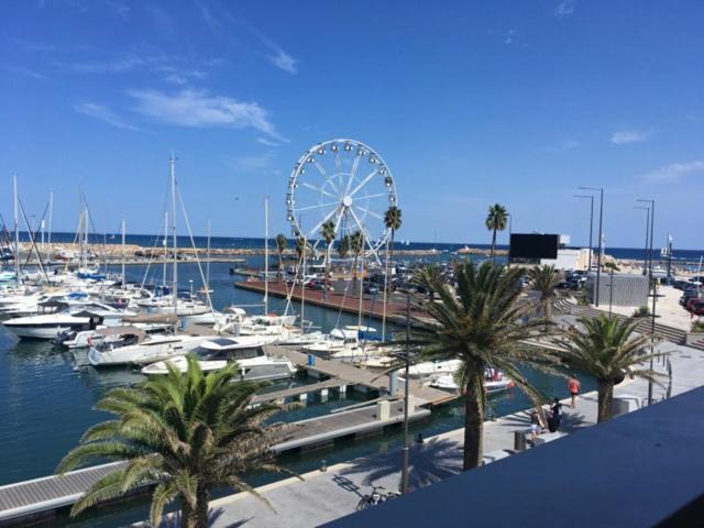 Appartement T2 Au Port De Canet-En-Roussillon - Proche De La Plage Et De L'Aquarium Oniria Ngoại thất bức ảnh