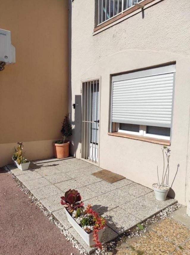 Appartement T2 Au Port De Canet-En-Roussillon - Proche De La Plage Et De L'Aquarium Oniria Ngoại thất bức ảnh